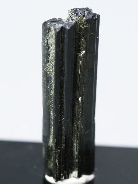 �Z�ΐF�g���}���� ���V�A/�E�����Y (731)