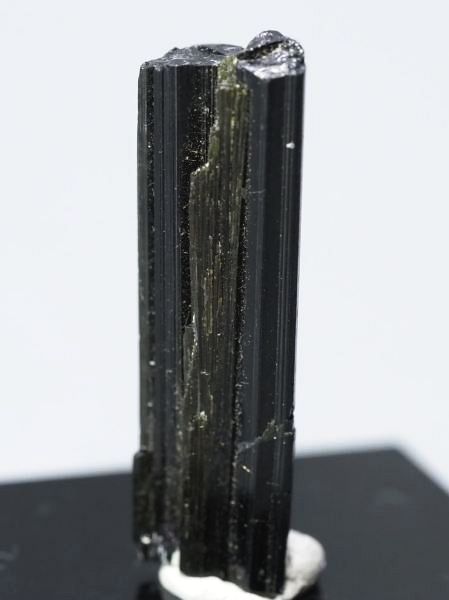 �Z�ΐF�g���}���� ���V�A/�E�����Y (731)