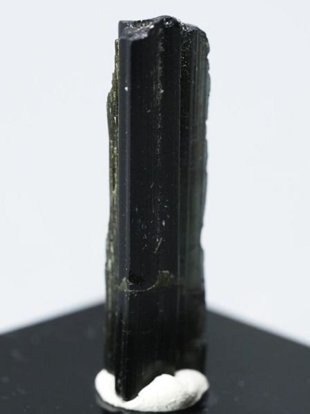 �Z�ΐF�g���}���� ���V�A/�E�����Y (731)