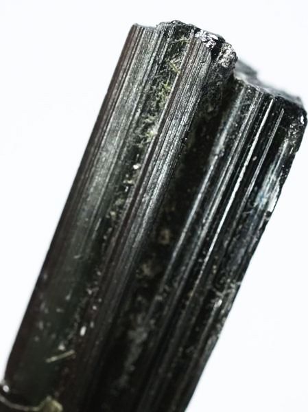 �Z�ΐF�g���}���� ���V�A/�E�����Y (731)