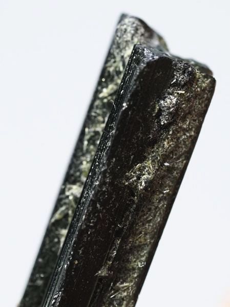 �Z�ΐF�g���}���� ���V�A/�E�����Y (731)