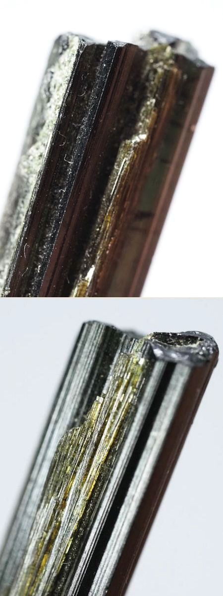 �Z�ΐF�g���}���� ���V�A/�E�����Y (731)