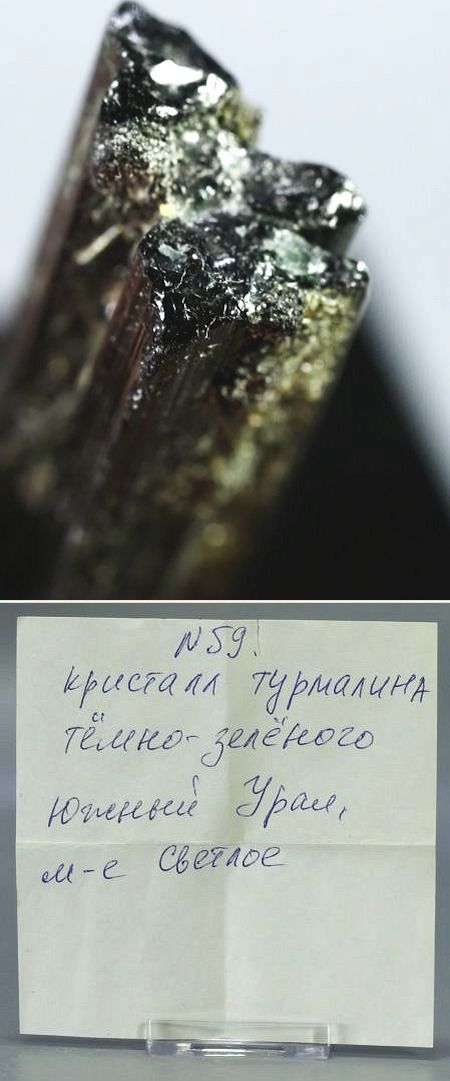 �Z�ΐF�g���}���� ���V�A/�E�����Y (731)