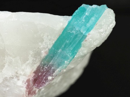 �g���}��������