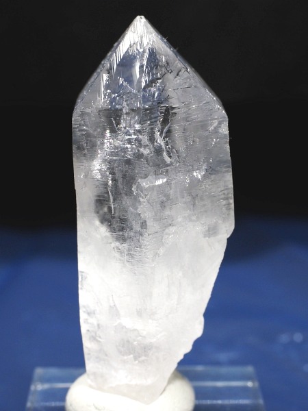 �g���C�S�[�j�b�N���� �u���W���Y 54g(51)