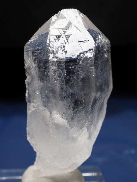 �g���C�S�[�j�b�N���� �u���W���Y 54g(51)