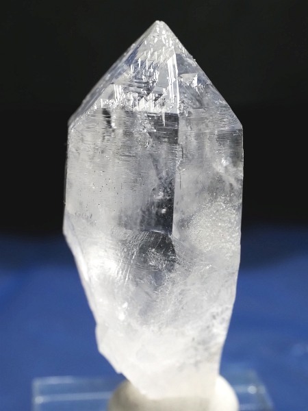 �g���C�S�[�j�b�N���� �u���W���Y 54g(51)