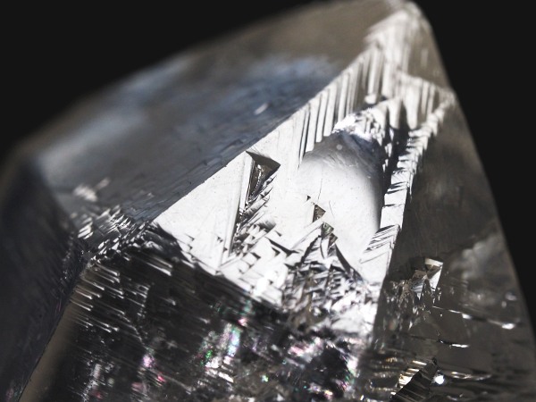 �g���C�S�[�j�b�N���� �u���W���Y 54g(51)