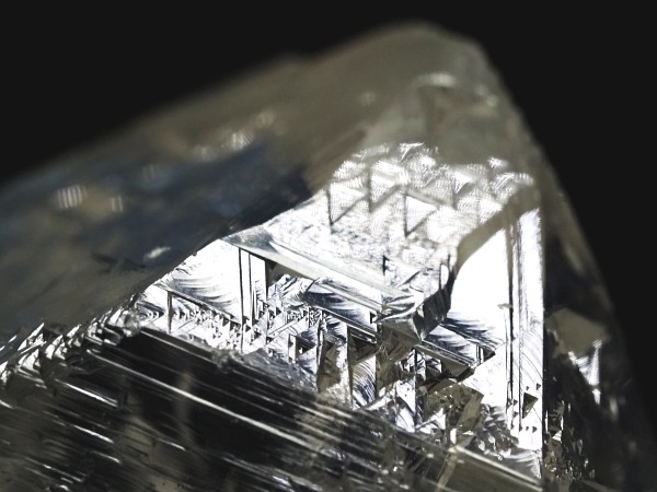 �g���C�S�[�j�b�N���� �u���W���Y 54g(51)