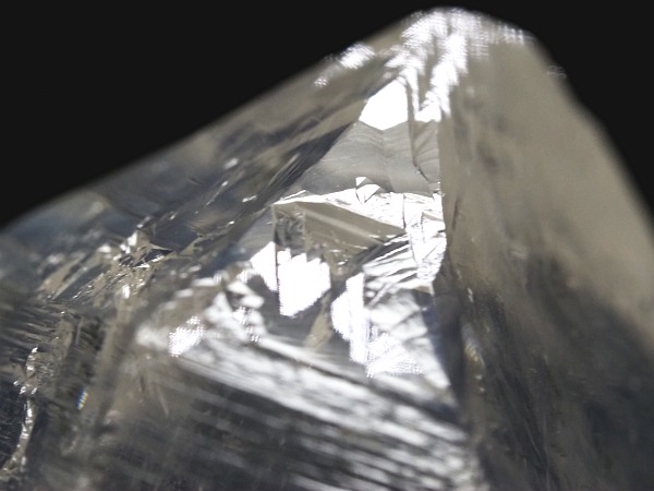 �g���C�S�[�j�b�N���� �u���W���Y 54g(51)