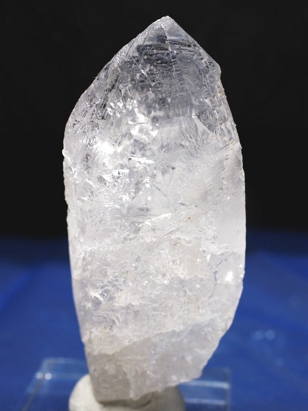 �g���C�S�[�j�b�N���� �u���W���Y 65g(52)