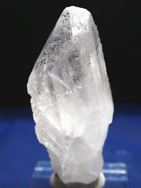 �g���C�S�[�j�b�N���� �u���W���Y 65g(52)