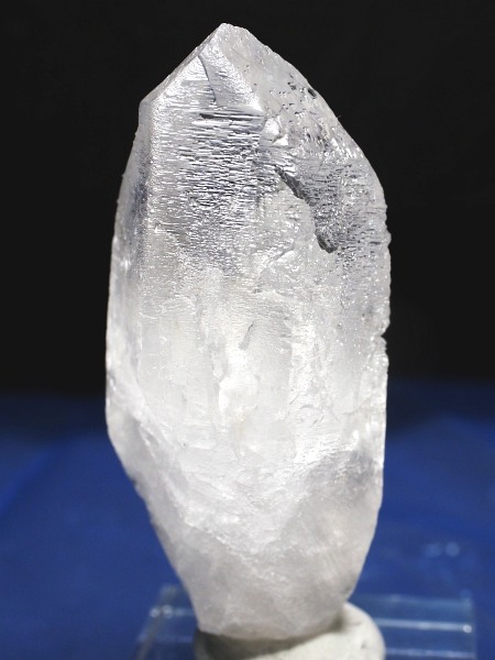 �g���C�S�[�j�b�N���� �u���W���Y 65g(52)