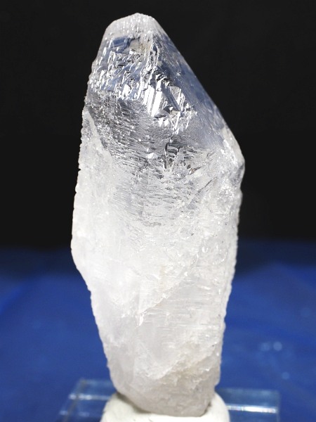 �g���C�S�[�j�b�N���� �u���W���Y 65g(52)