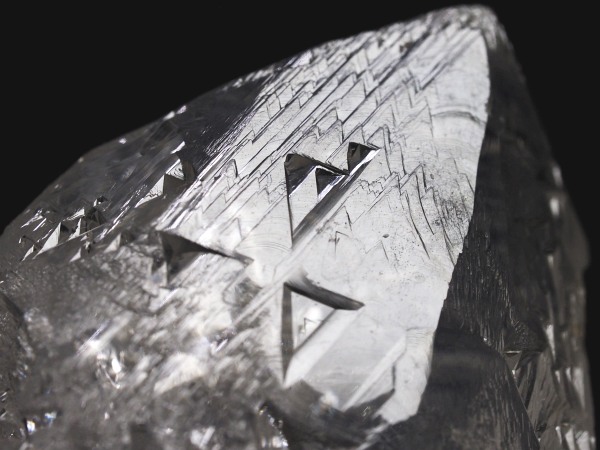 �g���C�S�[�j�b�N���� �u���W���Y 65g(52)