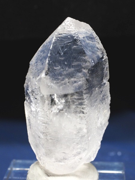 �g���C�S�[�j�b�N���� �u���W���Y 36g(67)