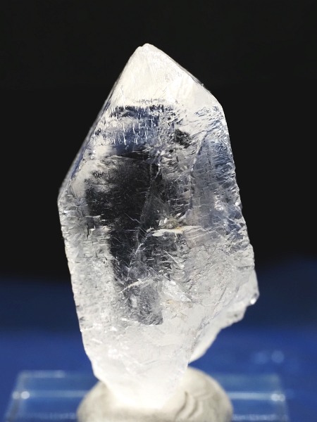 �g���C�S�[�j�b�N���� �u���W���Y 36g(67)