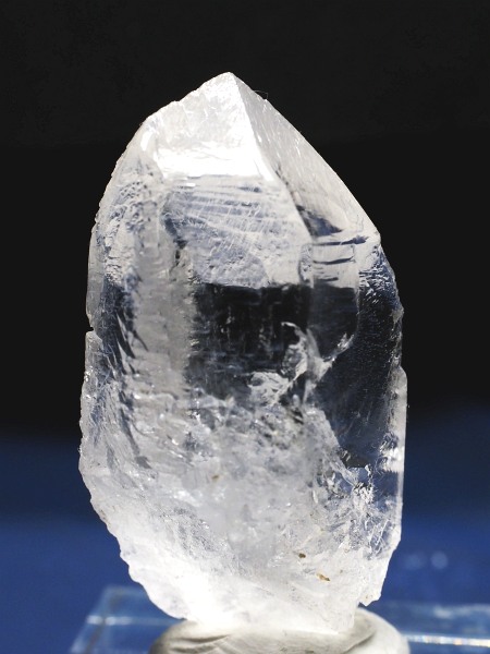 �g���C�S�[�j�b�N���� �u���W���Y 36g(67)