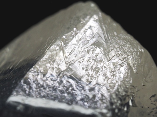 �g���C�S�[�j�b�N���� �u���W���Y 36g(67)