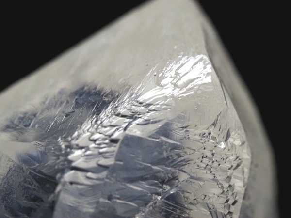 �g���C�S�[�j�b�N���� �u���W���Y 36g(67)