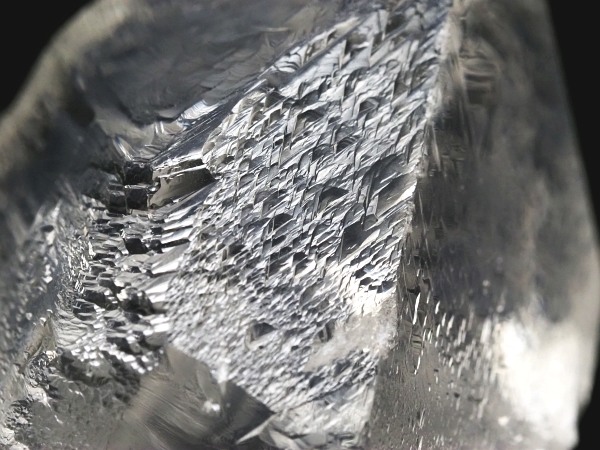 �g���C�S�[�j�b�N���� �u���W���Y 36g(67)