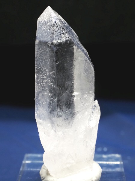 �g���C�S�[�j�b�N���� �u���W���Y 37g(73)