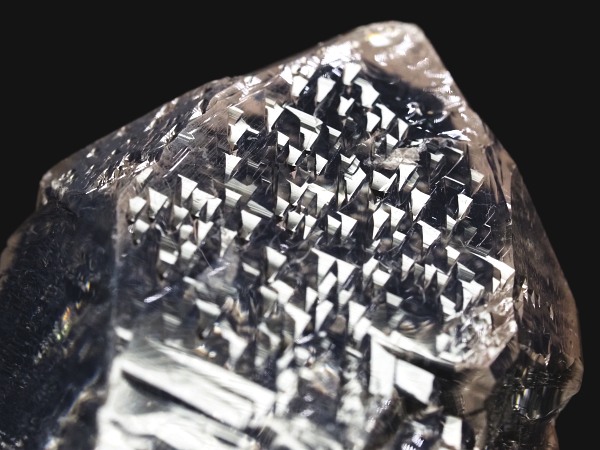 �g���C�S�[�j�b�N���� �u���W���Y 37g(73)