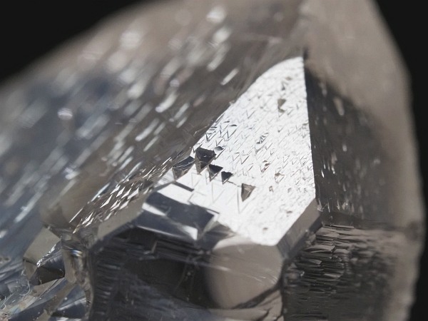 �g���C�S�[�j�b�N���� �u���W���Y 37g(73)