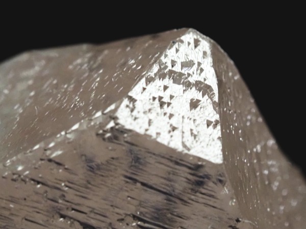 �g���C�S�[�j�b�N���� �u���W���Y 37g(73)