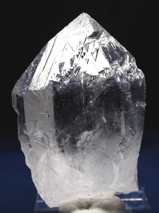 �I�������g���C�S�[�j�b�N���� �u���W���Y 112g(80)