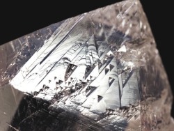 IgCS[jbN<br> uWY 112g(80)