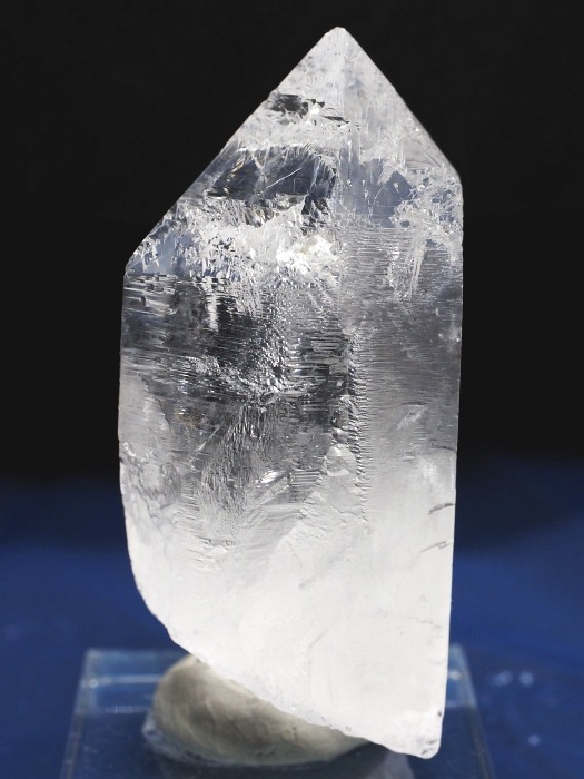 �I�������g���C�S�[�j�b�N���� �u���W���Y 112g(80)