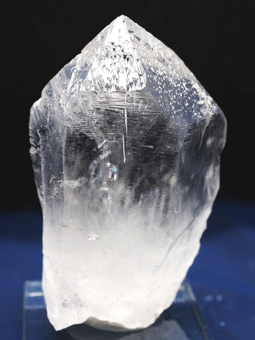 �I�������g���C�S�[�j�b�N���� �u���W���Y 112g(80)