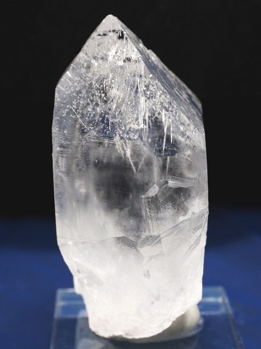 �I�������g���C�S�[�j�b�N���� �u���W���Y 112g(80)