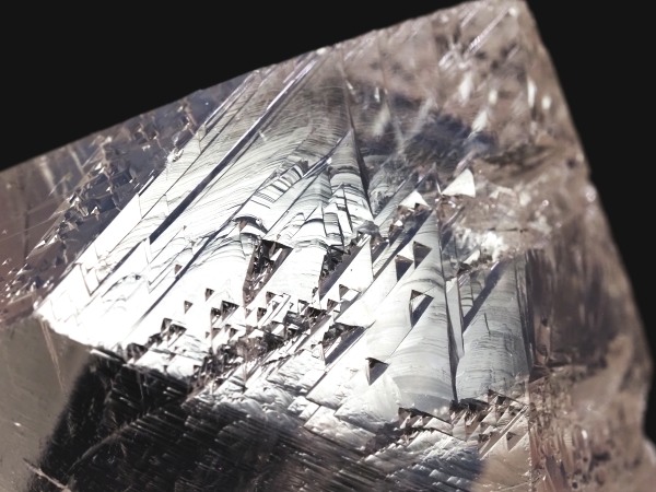 �I�������g���C�S�[�j�b�N���� �u���W���Y 112g(80)