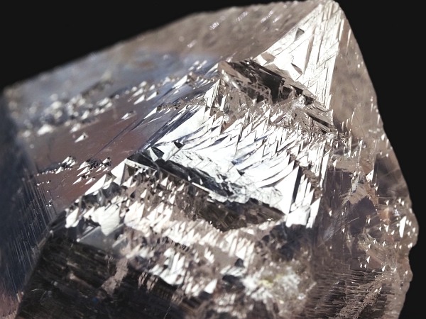 �I�������g���C�S�[�j�b�N���� �u���W���Y 112g(80)