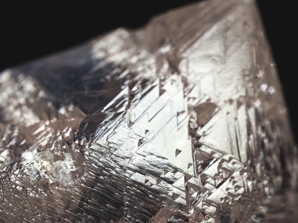 �I�������g���C�S�[�j�b�N���� �u���W���Y 112g(80)