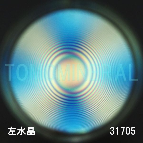  ^ōCVRۋ3A 31.7mm (31705)