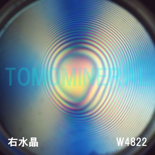 ʁEE ōVRۋ3A ӕʏt(W4822) 32.35mm