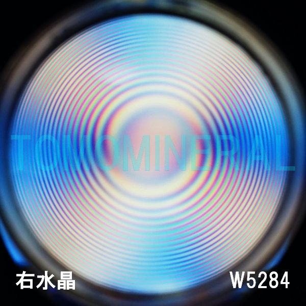 ʁEE ōVRۋ3A ӕʏt(W5284) 33.0mm