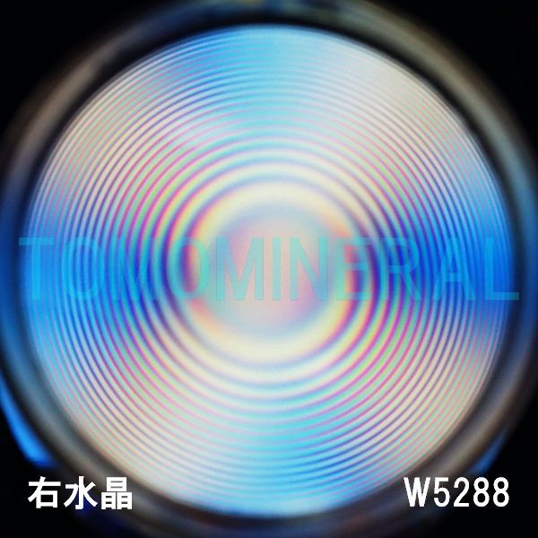 ʁEE ōVRۋ3A ӕʏt(W5288) 33.2mm