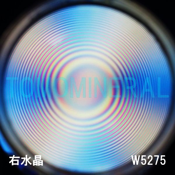 ʁEE ōVRۋ3A ӕʏt(W5275) 33.3mm