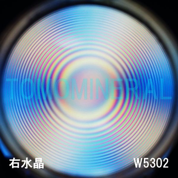ʁEE ōVRۋ3A ӕʏt(W5302) 33.4mm