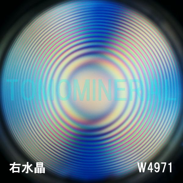 ʁEE ōVRۋ3A ӕʏt(W4971) 33.6mm