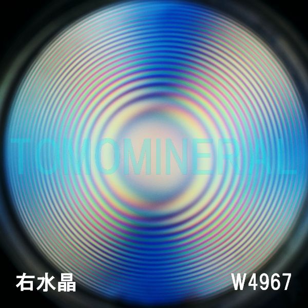 ʁEE ōVRۋ3A ӕʏt(W4967) 33.7mm