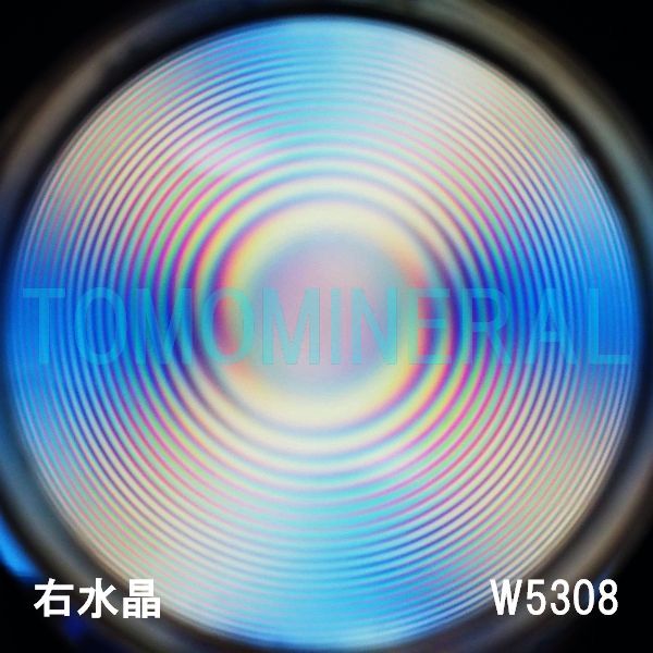 ʁEE ōVRۋ3A ӕʏt(W5308) 33.7mm