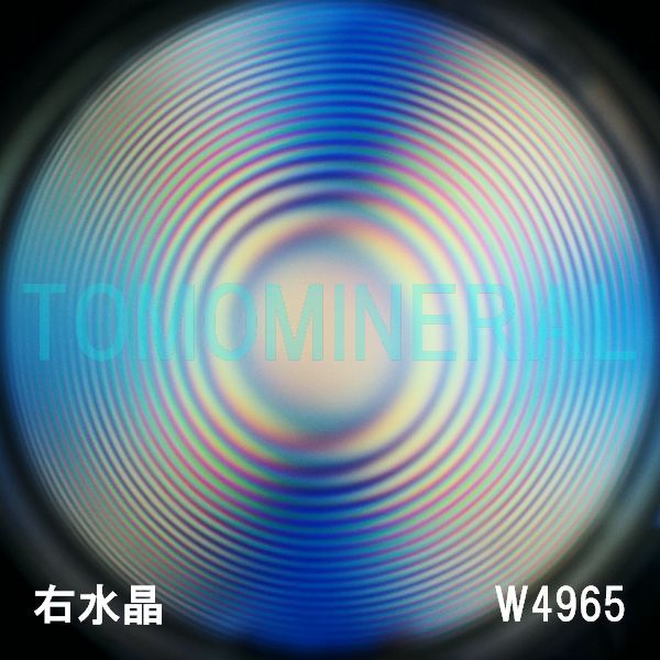 ʁEE ōVRۋ3A ӕʏt(W4965) 33.8mm