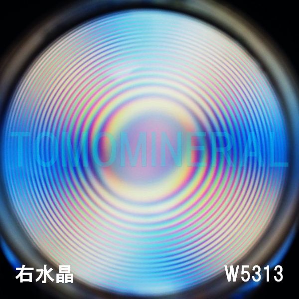 ʁEE ōVRۋ3A ӕʏt(W5313) 33.8mm