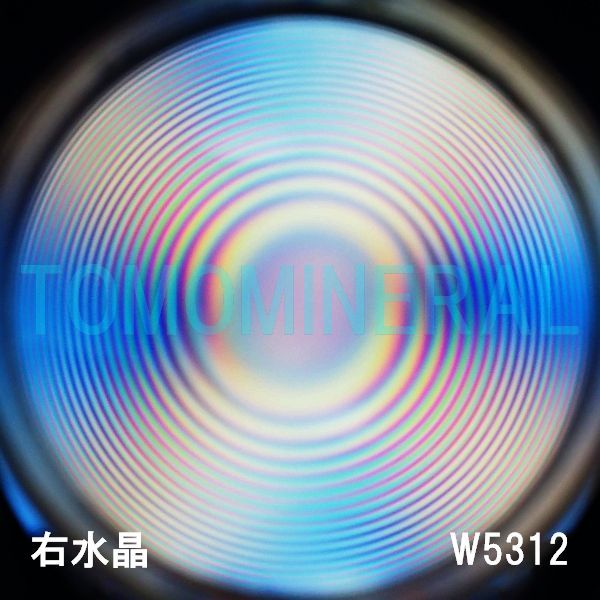 ʁEE ōVRۋ3A ӕʏt(W5312) 33.8mm