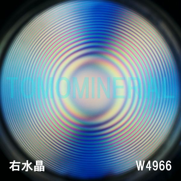 ʁEE ōVRۋ3A ӕʏt(W4966) 33.9mm